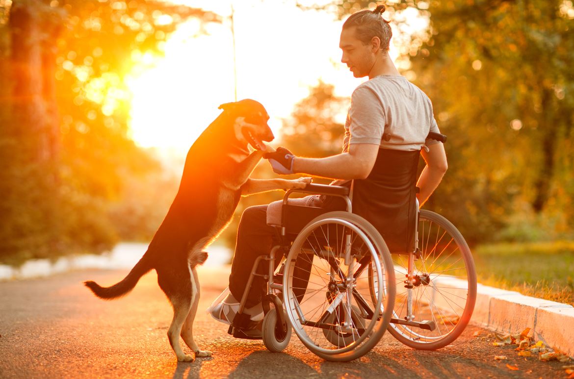 Rollstuhlfreundliche Unterkunft Hund erlaubt