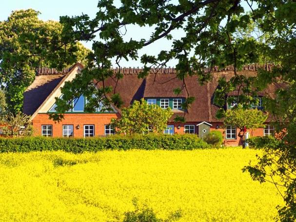 Budde Ferienwohnungen an der Geltinger Birk