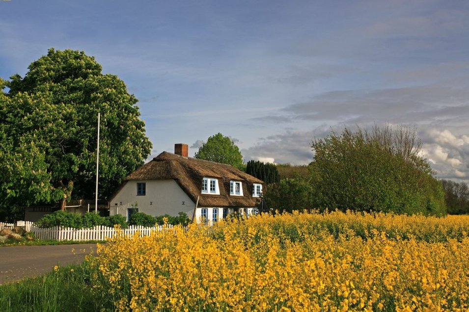 Stausmark, reetdachkate