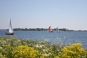 Segler vor Holniskliff