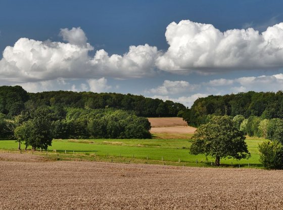 Gemeinde Sterup, Autal