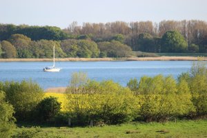Segler auf der Schlei