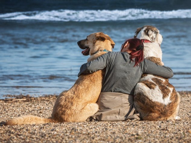 Urlaub mit Hund an der Geltinger Bucht