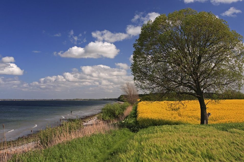 Geltinger Bucht, Naturstrand