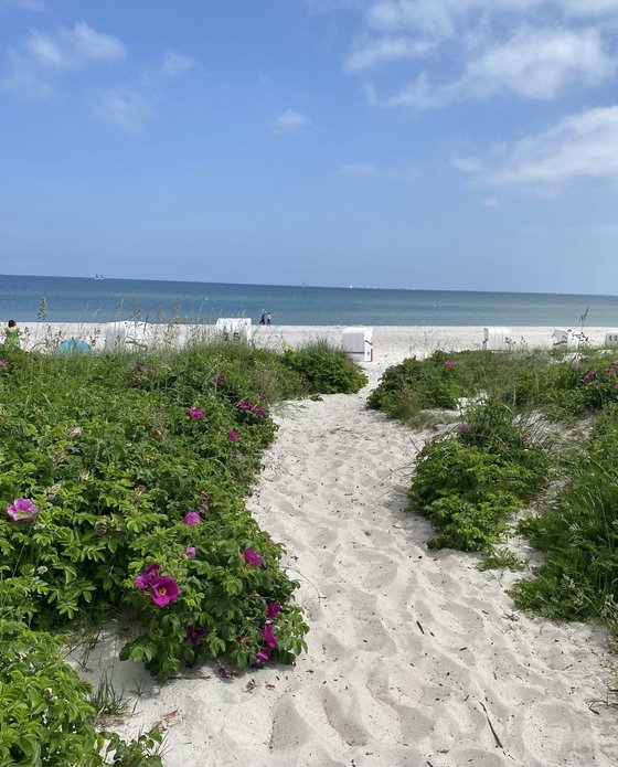 Sommertag an der Ostsee
