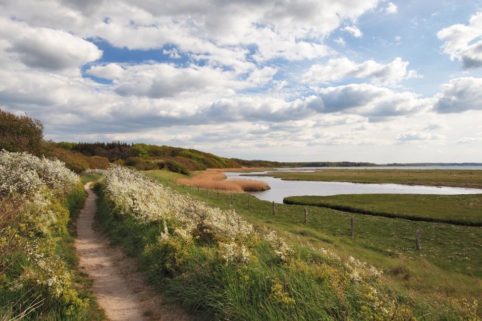 Deichweg Geltinger Birk