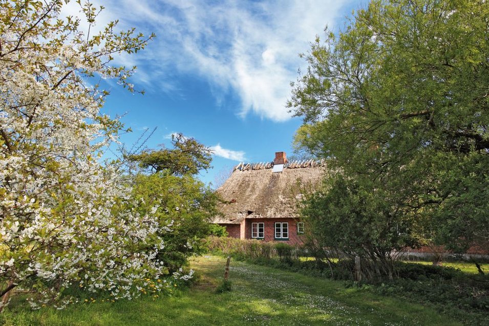 Geltinger Birk, Reetdachhaus