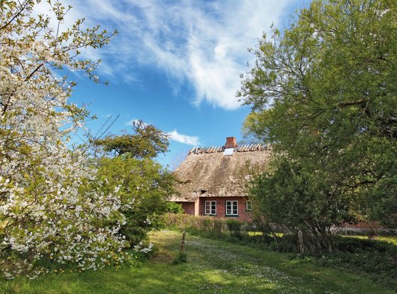 Haus in der Geltinger Birk