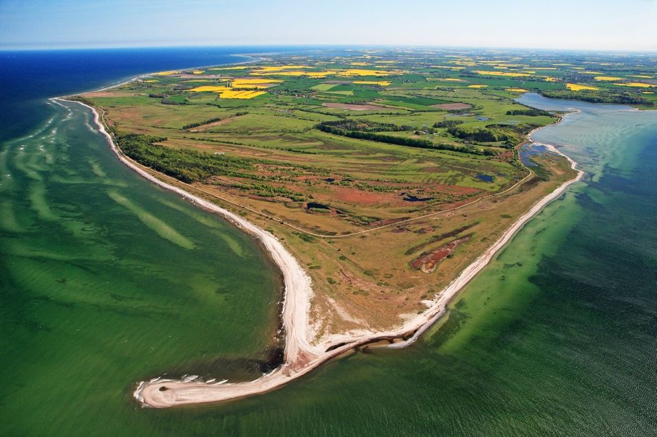 Naturschutzgebiet Geltinger Birk