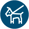 Hundestrand