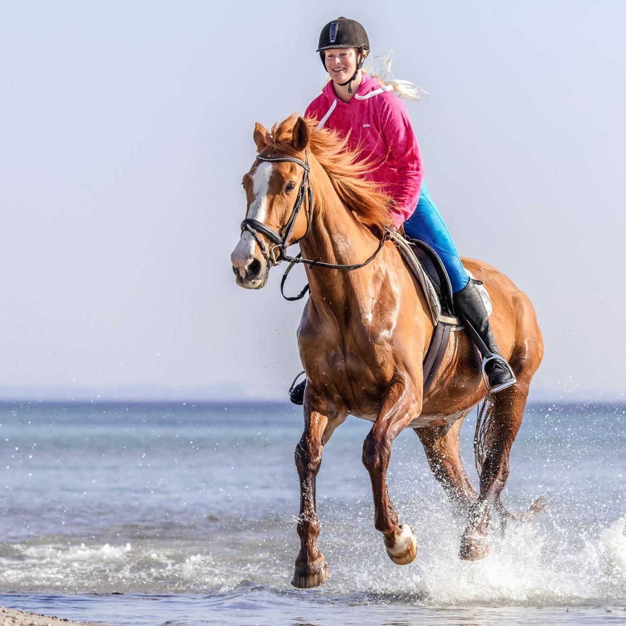 Pferd und Reiter an der Ostsee 